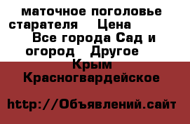 маточное поголовье старателя  › Цена ­ 3 700 - Все города Сад и огород » Другое   . Крым,Красногвардейское